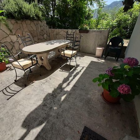 Studio Jeff 1 Appartement Kotor Buitenkant foto